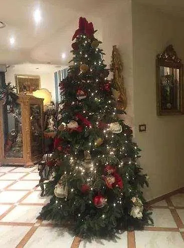 Hotel Al Teatro Livorno 3*,